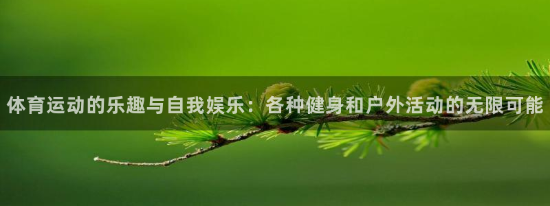 球客岛：体育运动的乐趣与自我娱乐：各种健身和户外活动的无限可能