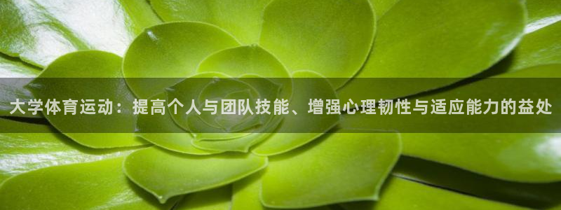 球客岛：大学体育运动：提高个人与团队技能、增强心理韧性与适应能力的益处
