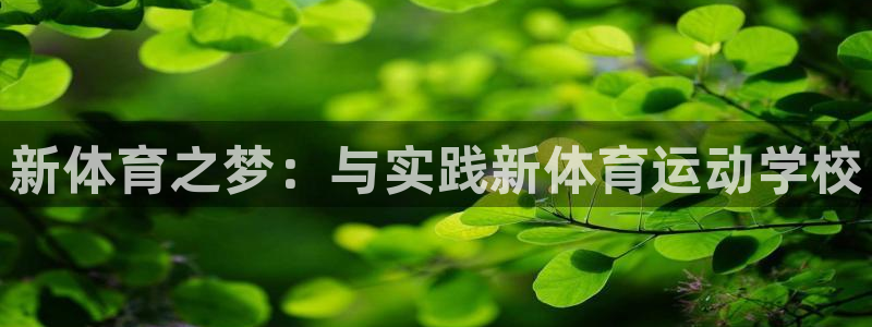 球客岛：新体育之梦：与实践新体育运动学校