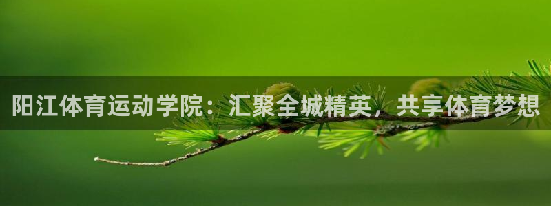 球客岛：阳江体育运动学院：汇聚全城精英，共享体育梦想