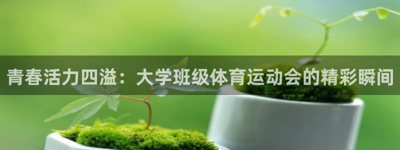 球客岛