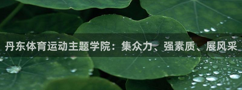 球客岛：丹东体育运动主题学院：集众力、强素质、展风采