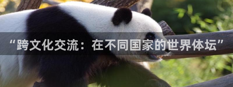 球客岛