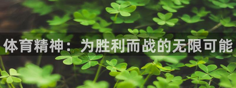 球客岛：体育精神：为胜利而战的无限可能